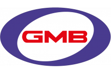 GMB 6202-2RSC3