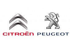 Peugeot / Citroen 1608076280
