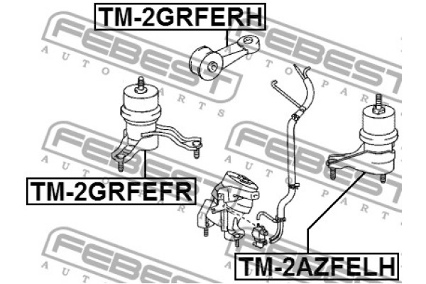 FeBest TM-2GRFERH 12363-31012