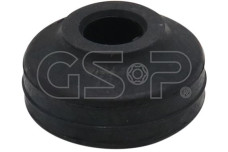 GSP 513254