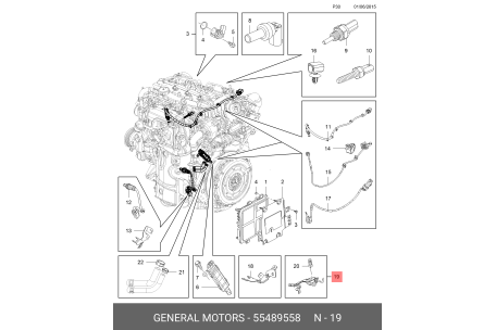 Nk835589 clearance